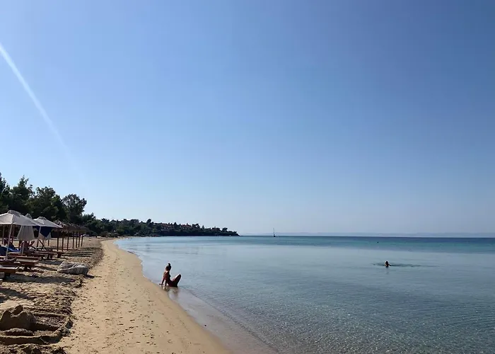 فيلة Serafima *
